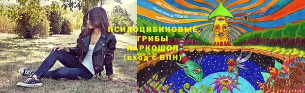 твердый Аркадак
