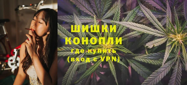 твердый Аркадак