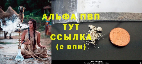 твердый Аркадак