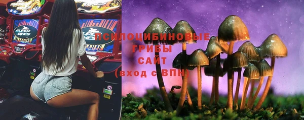 мяу мяу мука Армянск