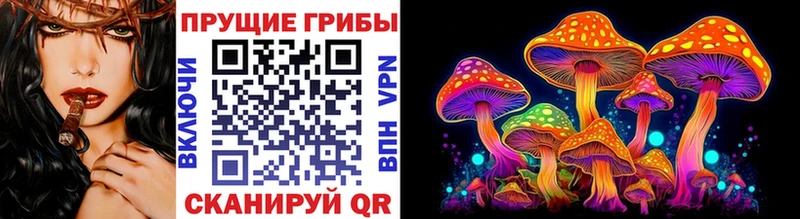 Псилоцибиновые грибы Psilocybe как найти закладки Сретенск